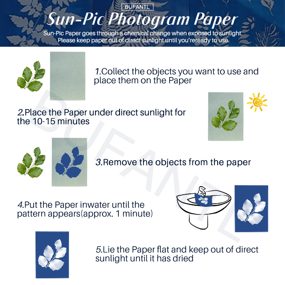 Cyanotype Paper 12 Sheets Refi - Photography Lighting Beginners avis et prix