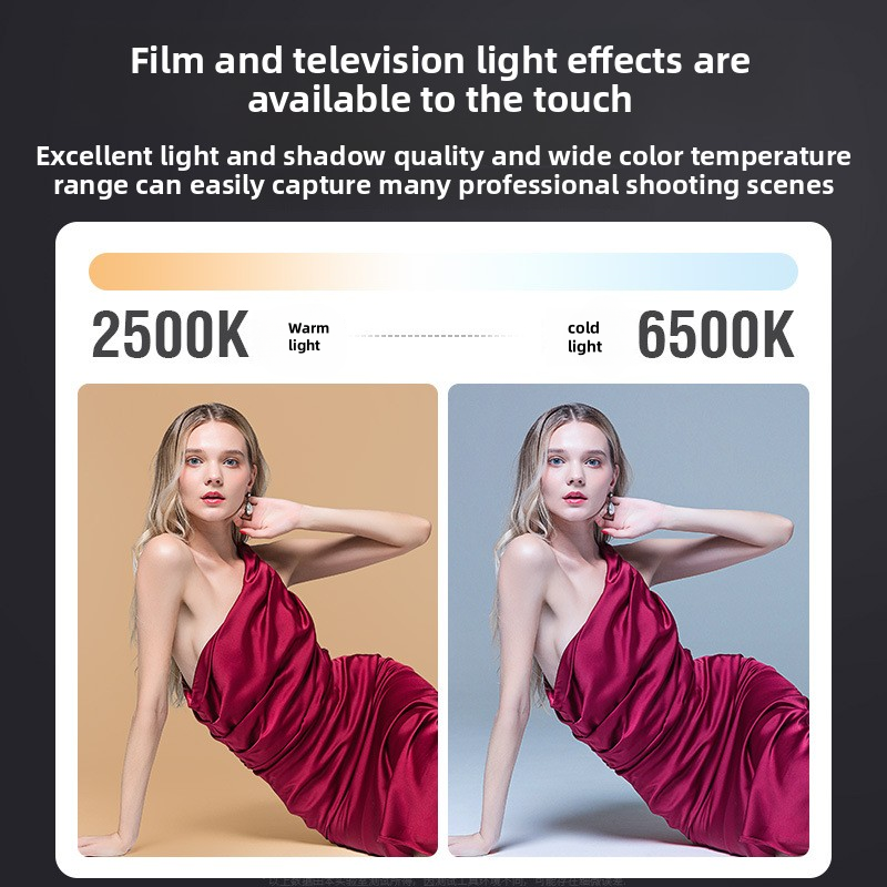 ZU80 High-Power COB Fill Light - Photography Lighting Patterns avis et prix