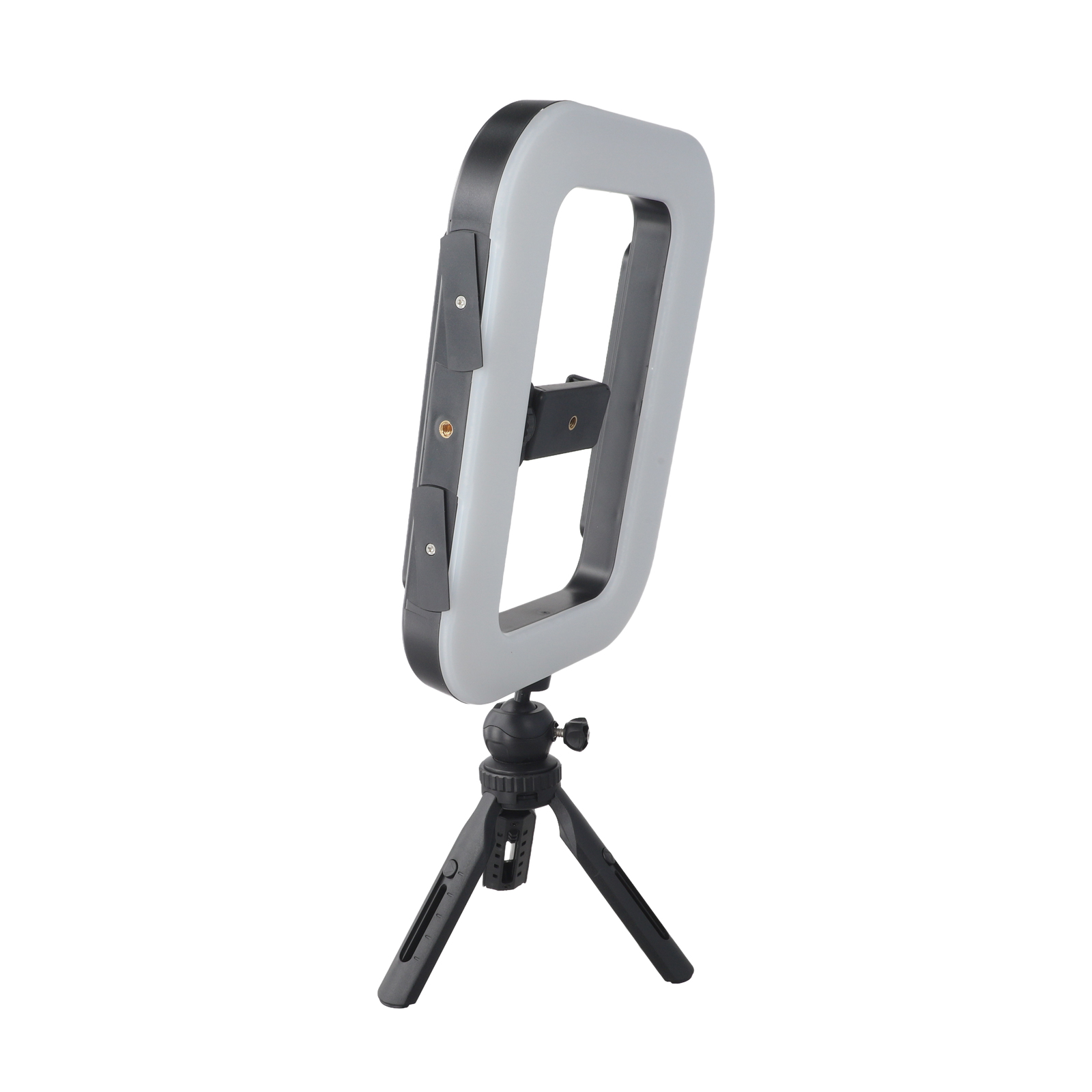 Handheld Fill Light with 6600m - Photography Lighting Options avis et prix