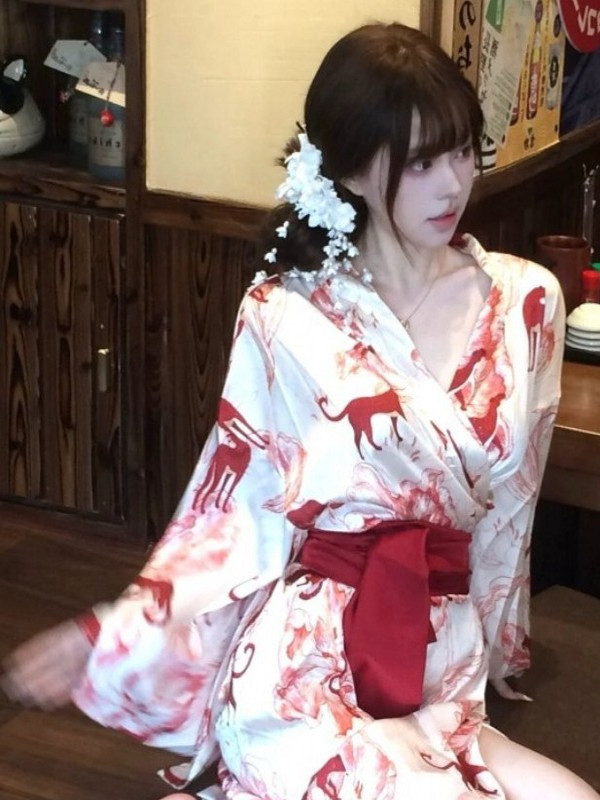 New Chinese Style Sleepwear Ha - Photography Lighting Home avis et prix