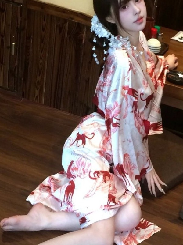 New Chinese Style Sleepwear Ha - Photography Lighting Home avis et prix