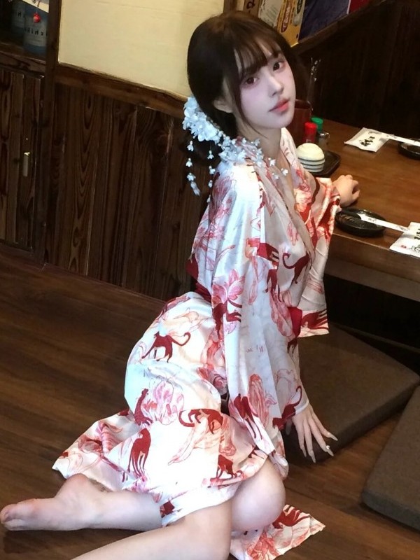 New Chinese Style Sleepwear Ha - Photography Lighting Home avis et prix