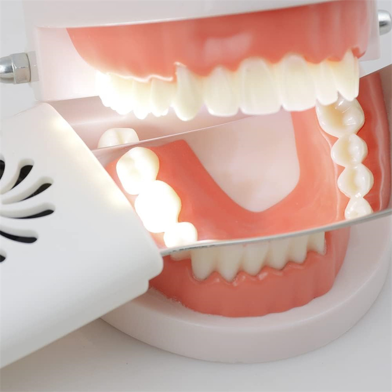 Dental Anti-Fog Mirrors With L - Photography Lighting Reflectors avis et prix