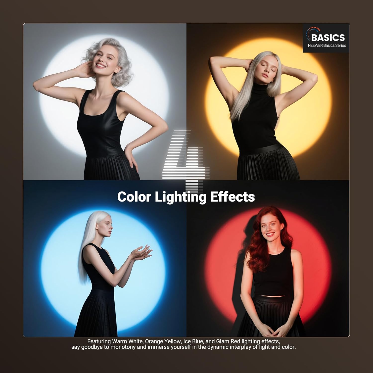 NEEWER BASICS RGB Photography  - Photography Lighting Basics avis et prix
