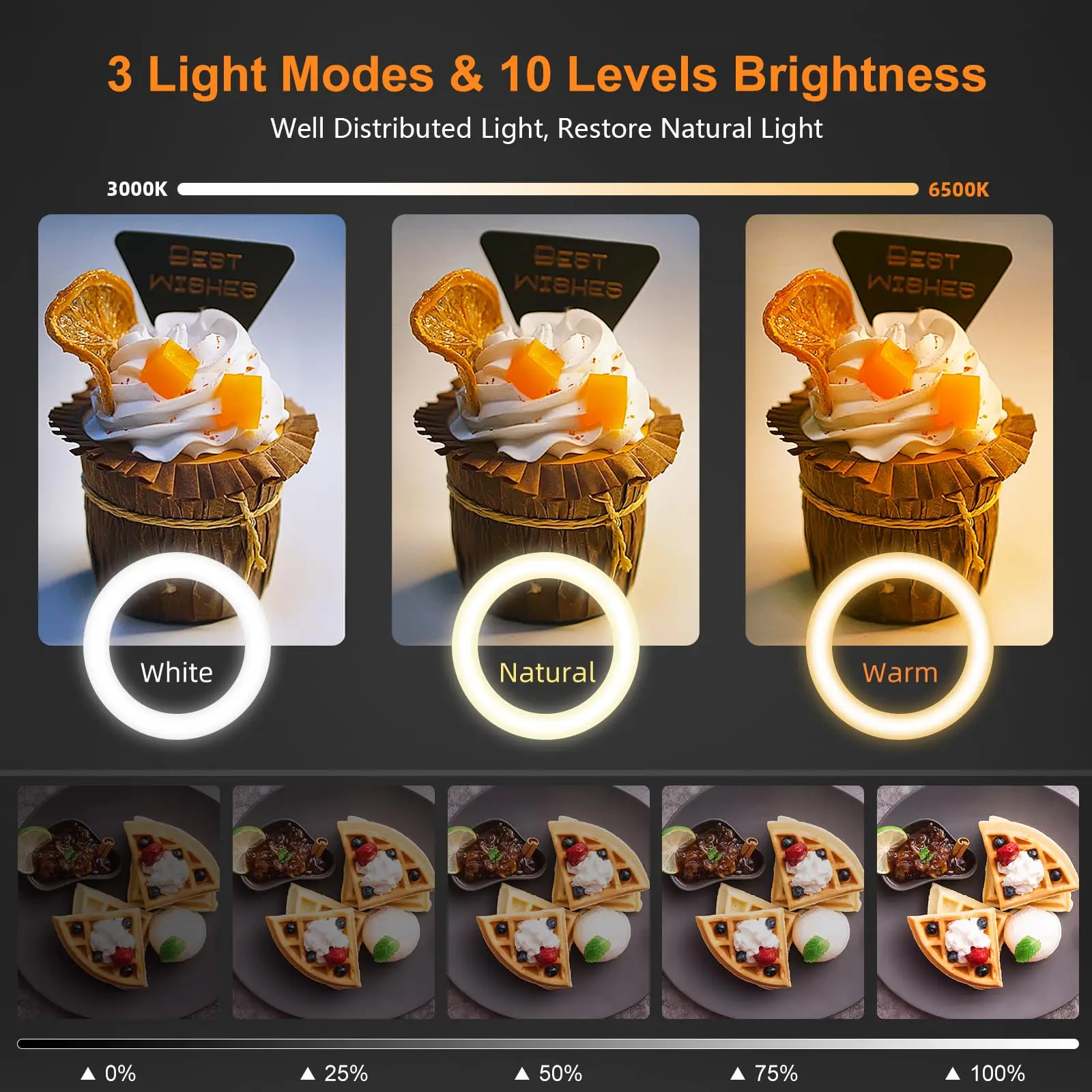 Nice Overhead Tripod With Ring - Photography Lighting Patterns avis et prix