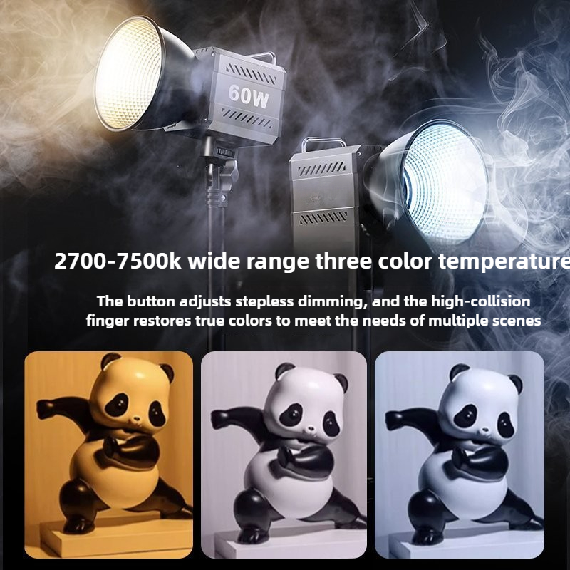 60W Tri-Color Video Light 2700 - Photography Lighting Home avis et prix