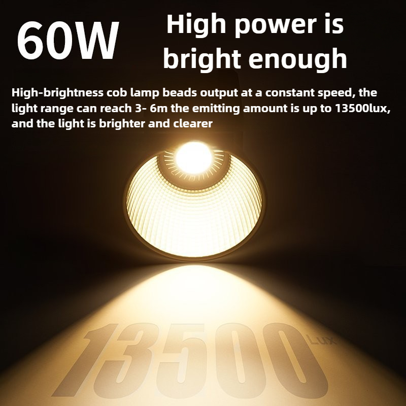 60W Tri-Color Video Light 2700 - Photography Lighting Home avis et prix