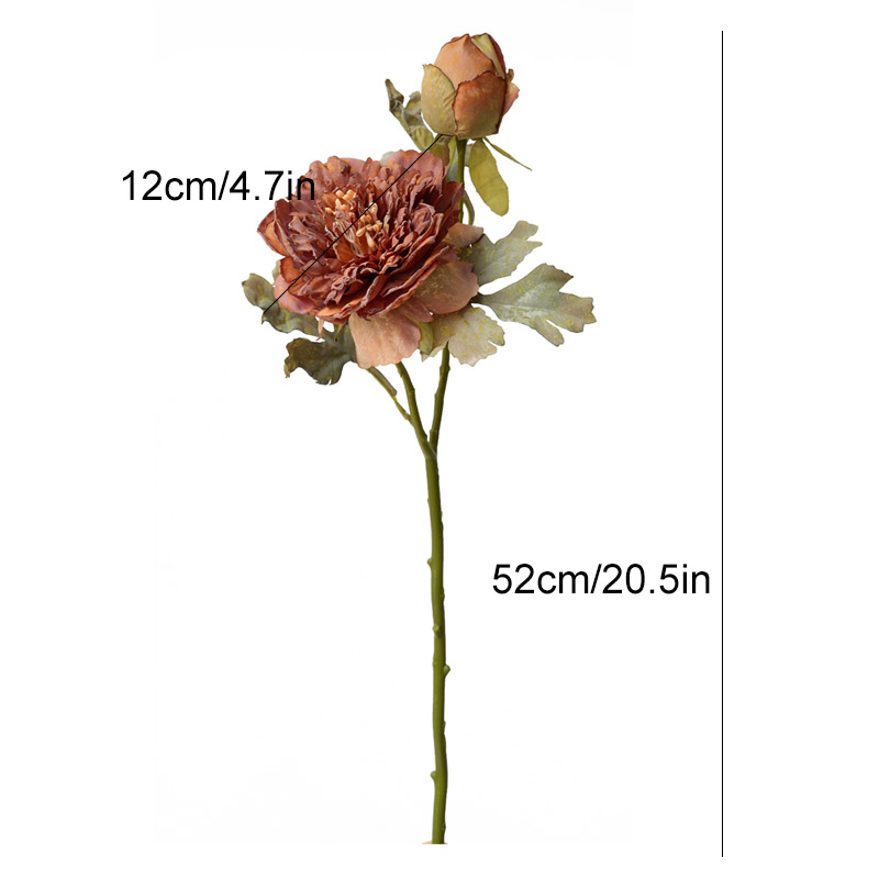 1PC Peony Simulation Flower Li - Photography Lighting Home avis et prix